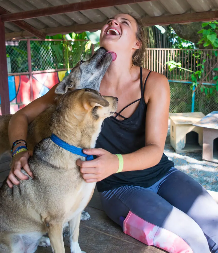 Volunteering at Care for Dogs Chiang Mai Thailand doggit kisses on the face