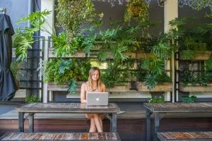 once in cape town yours truly bar where to stay staying in hostels