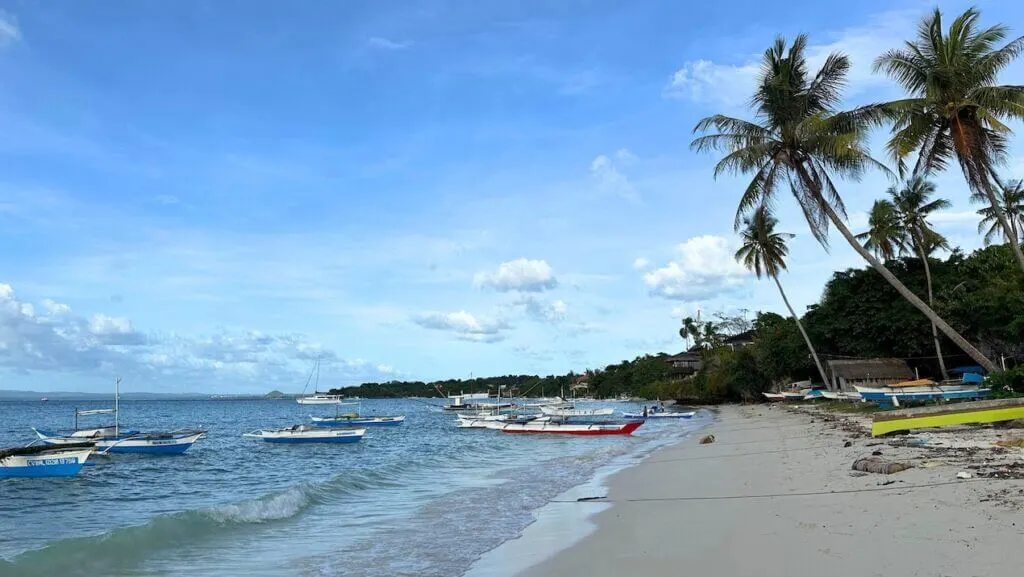 Boats along Panglao Beach