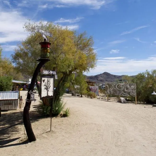 Joshua Tree Music Festival Guide + Review desert music festival california