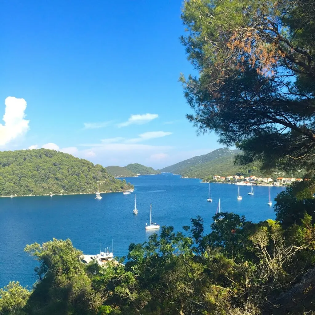 Mljet Island places to go Polace port Croatia