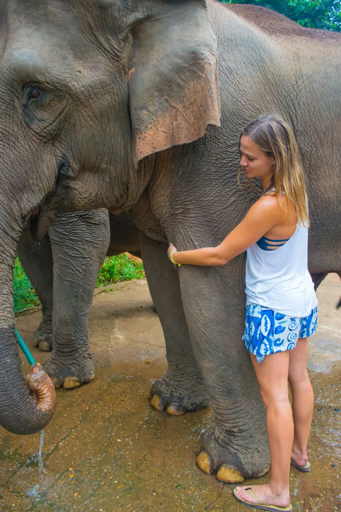 Elephant nature park Chiang Mai 