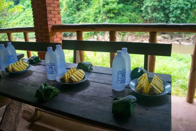 Chiang Mai elephant tour elephant food