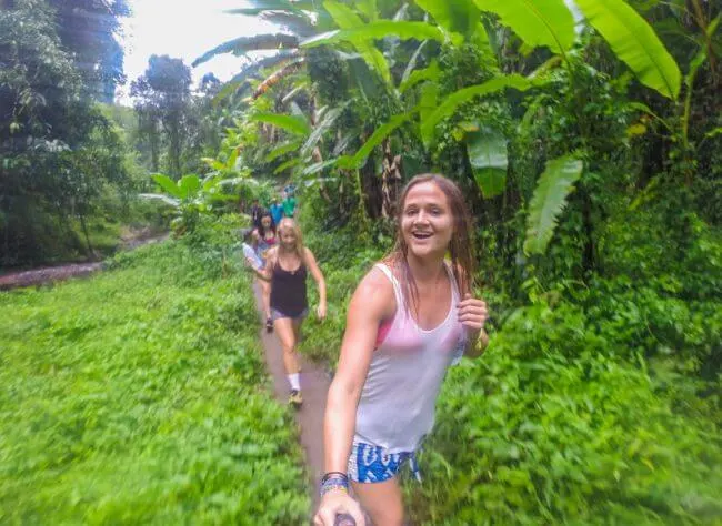 Chiang Mai elephant tour waterfall jungle trek