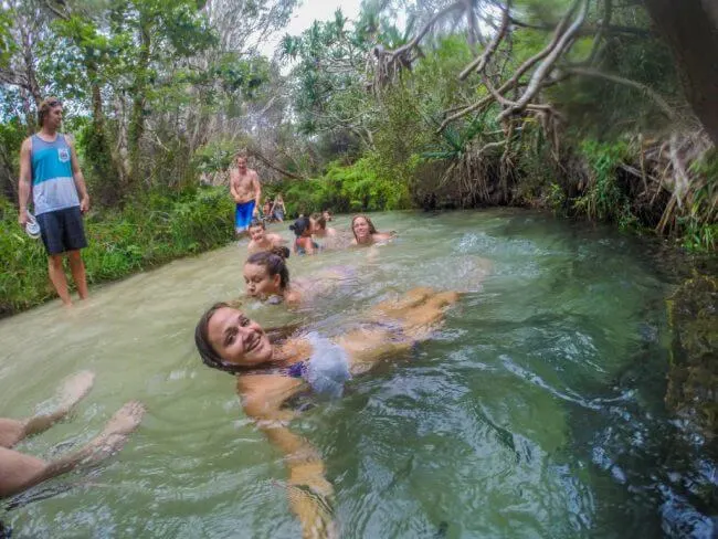 floating down Eli creek fraser island