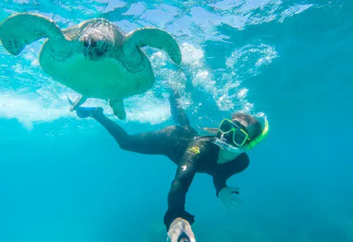 tips for traveling australia