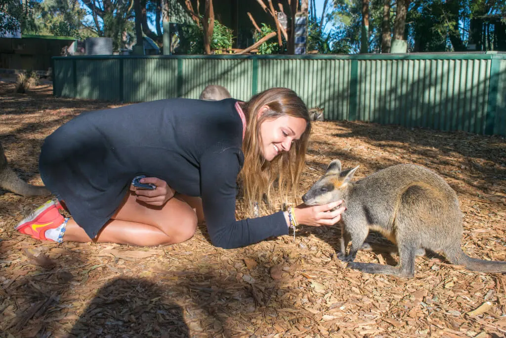 Kangaroo Love Adventures & sunsets