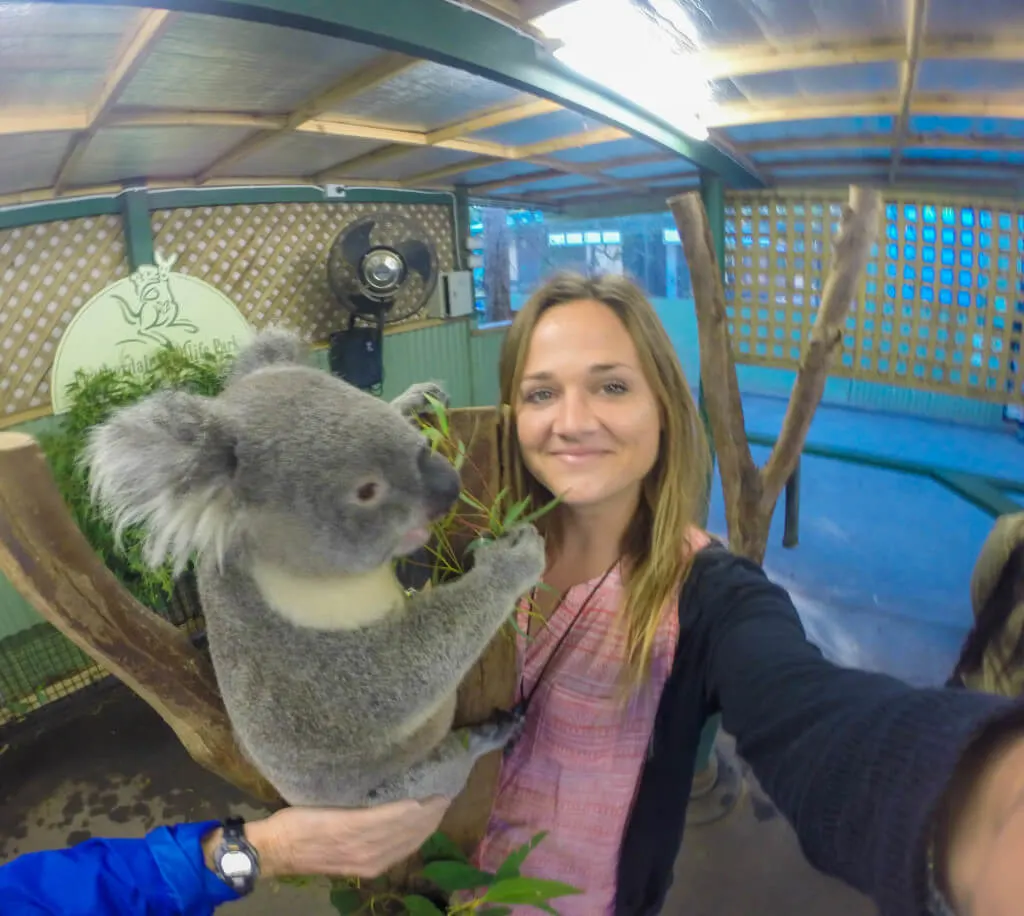 Koala Selfie Go Pro