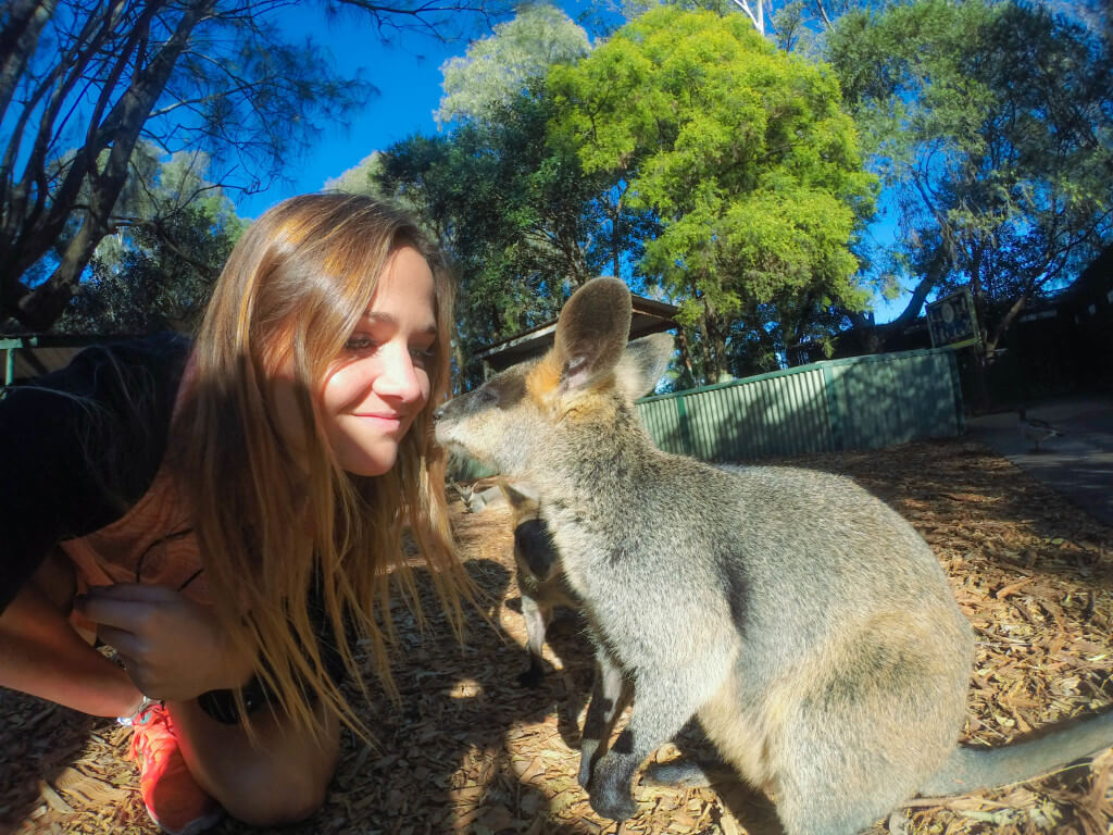 Kangaroo Kisses Go Pro