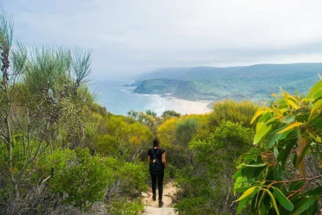 royal national park coastal track