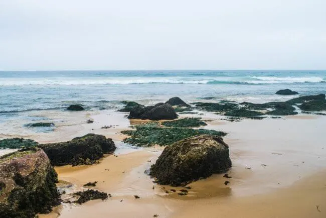 beach in royal national park sydney nsw