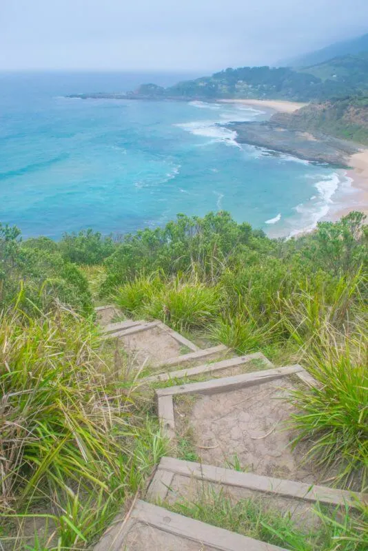 Royal National Park coastal trek bush walk views