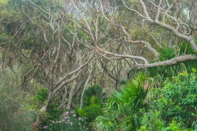 Royal national park coastal trek