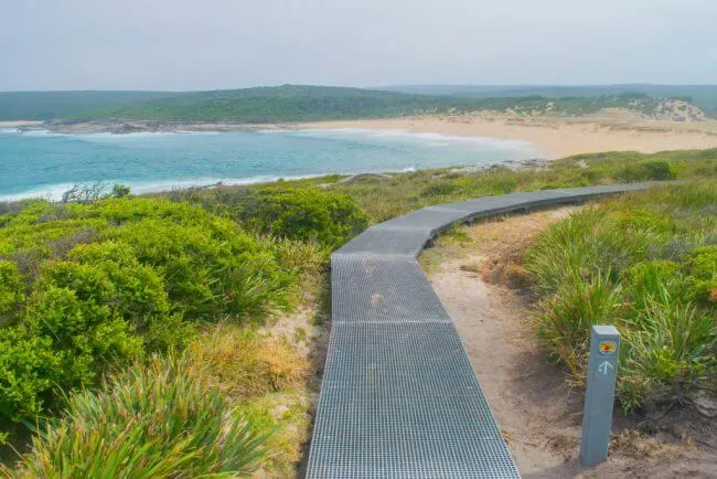 Royal National Park coastal walk track