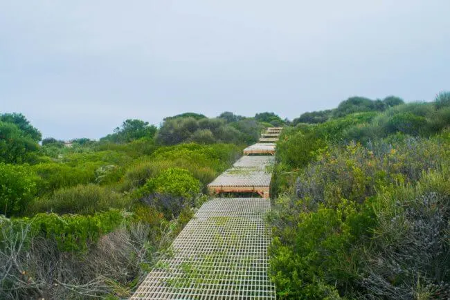 Royal National Park Coastal Walk: