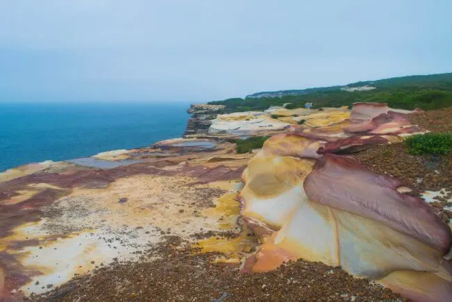 Royal National Park coastal walk