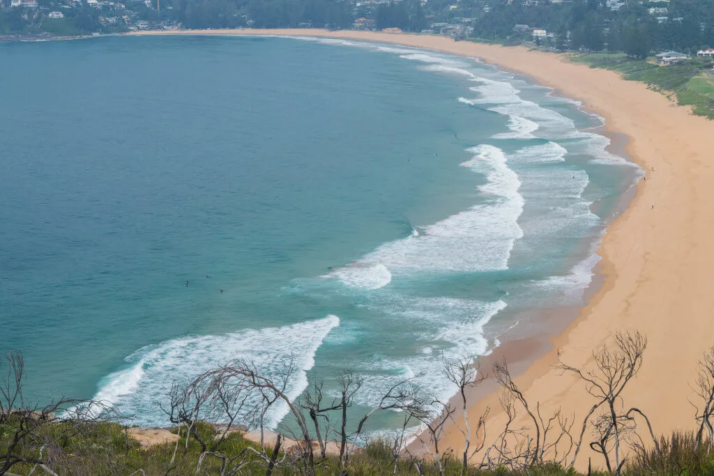 Palm beach sydney from above