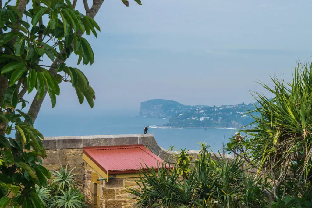 palm beach sydney