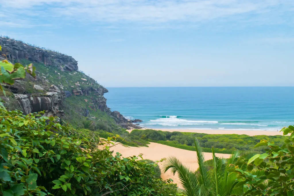 palm beach sydney beach waves and views
