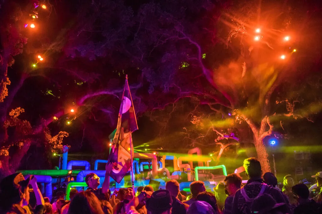 Lightning in a Bottle Festival woogie