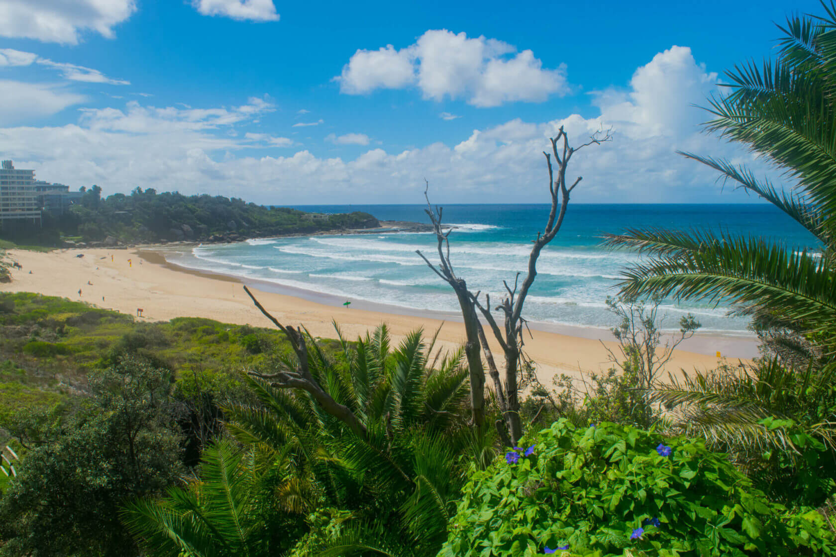 14 Scenic Coastal Walks in Sydney You Must Try