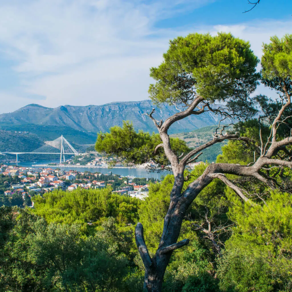 port Gruz dubrovnik view