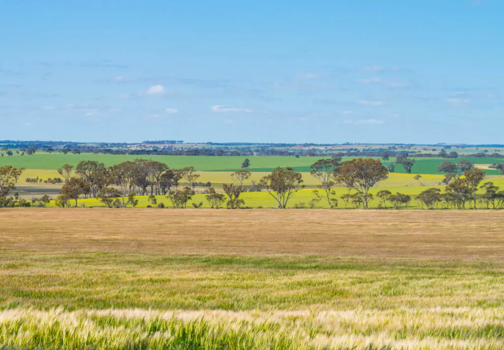 western australia farm