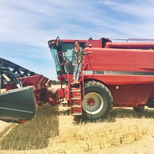 header harvest canola