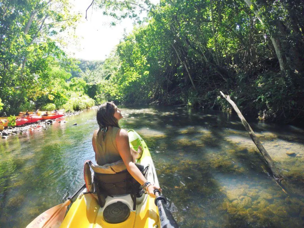 Kayaking among Mangroves in the Wailua river is over of the best Kauai adventures!