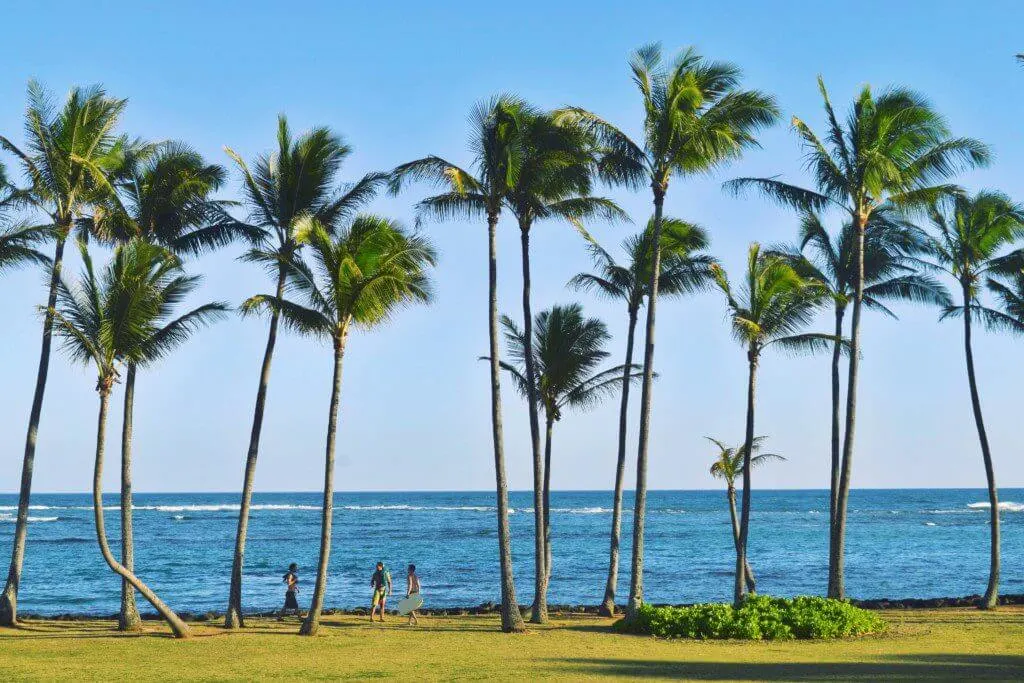 sam's ocean view kauai