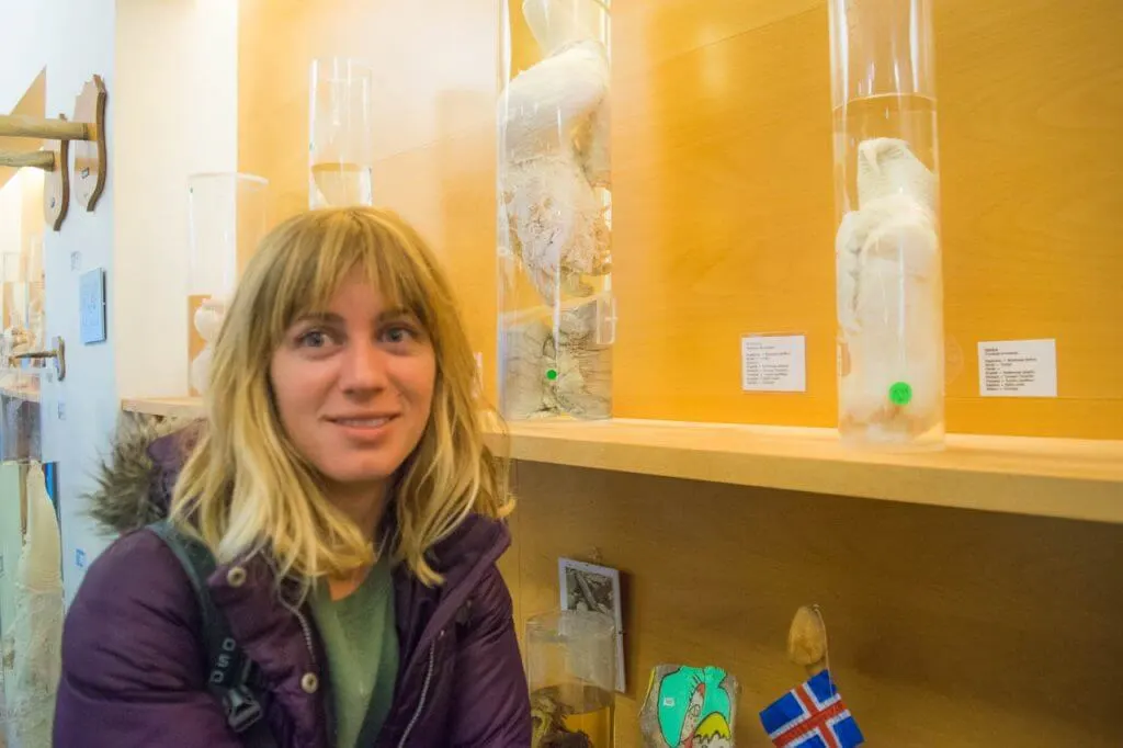 penis museum iceland