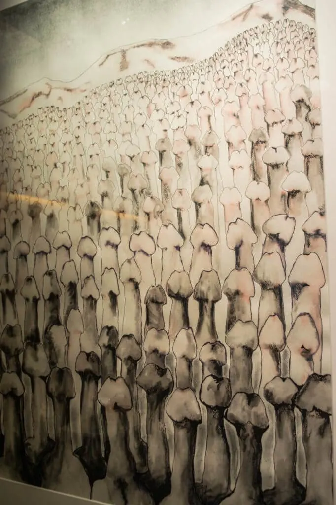 penis museum in iceland