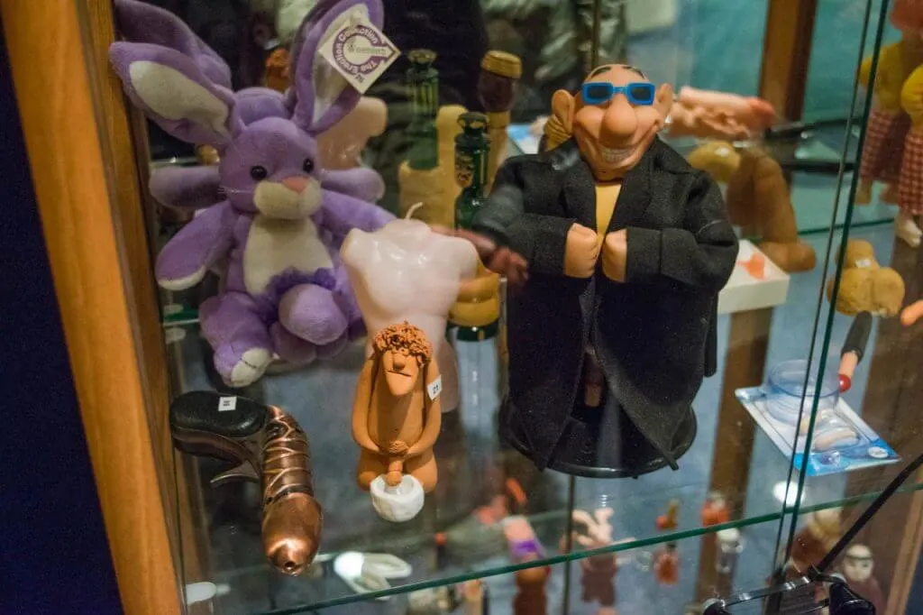 penis museum in iceland