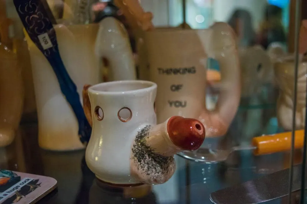 penis museum in iceland