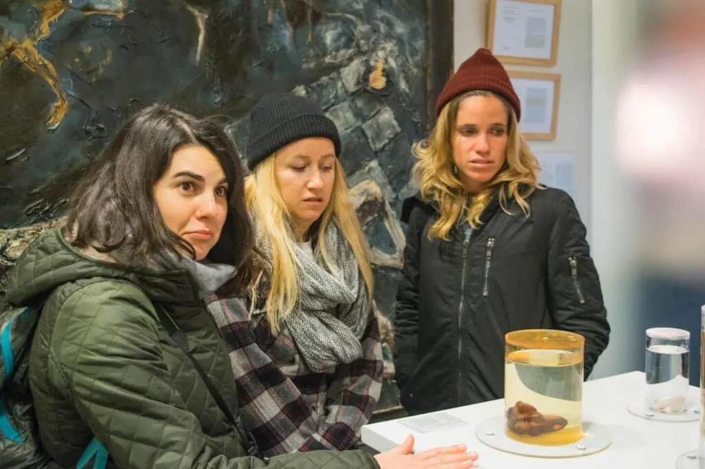penis museum in iceland