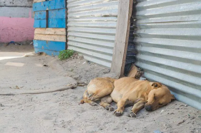 Visiting a Township in Cape Town