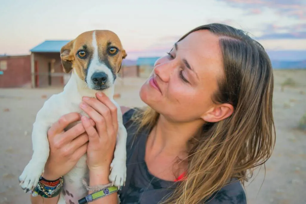 namibian road trip sossus desert camping dog