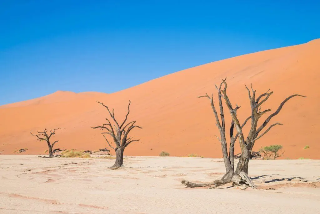 namibian road trip namib nakluft national park sunrise sand dunes sossusvlei