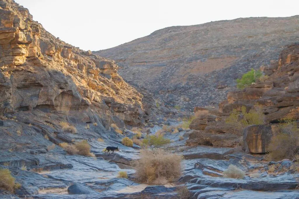 orange river rock formations south africa namibia