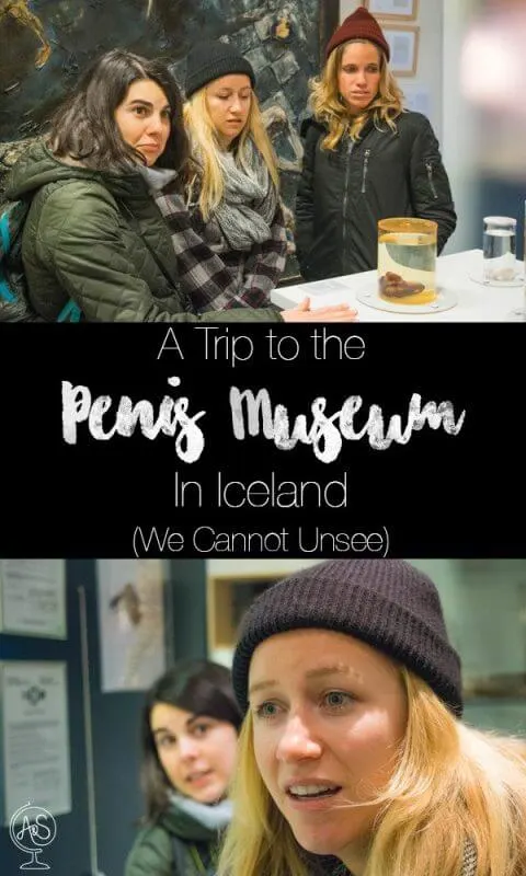 When my friends and I learned that there was a Penis Museum in Iceland right before our upcoming trip, we half smiled and giggled at each other and joked that we should go. We should check it out, we said. It will be hilarious, we said. Or, we thought.