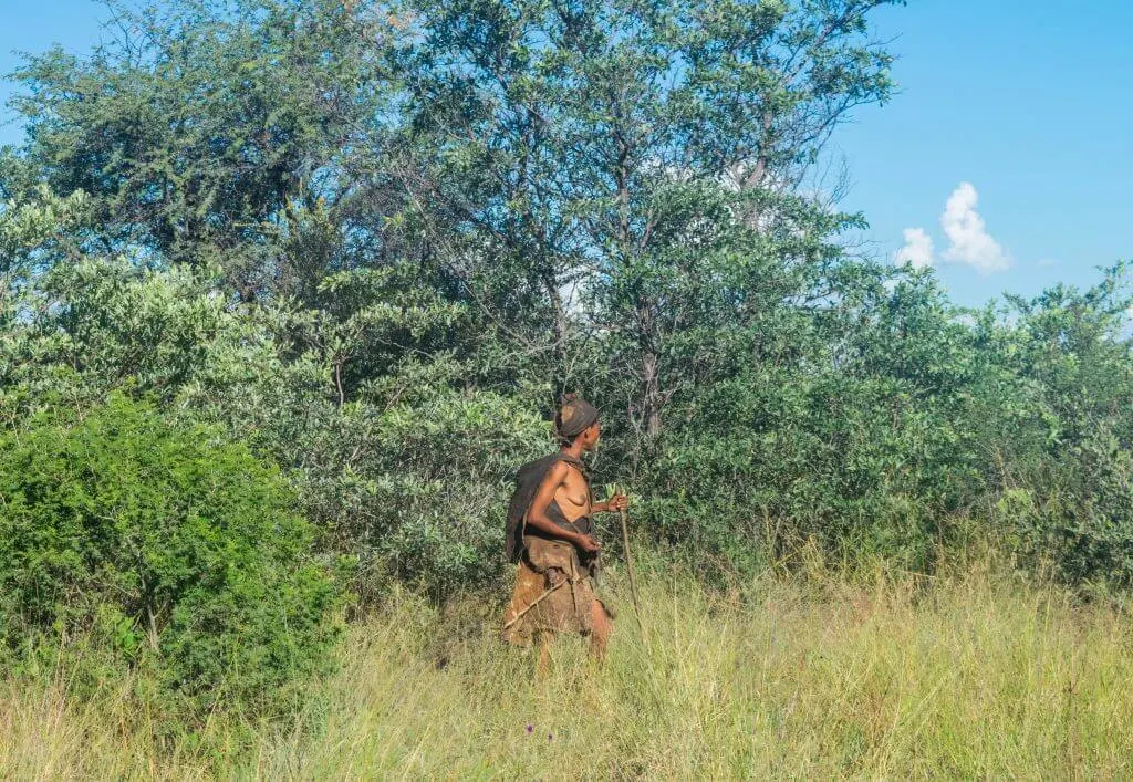 San Bushmen in Botswana