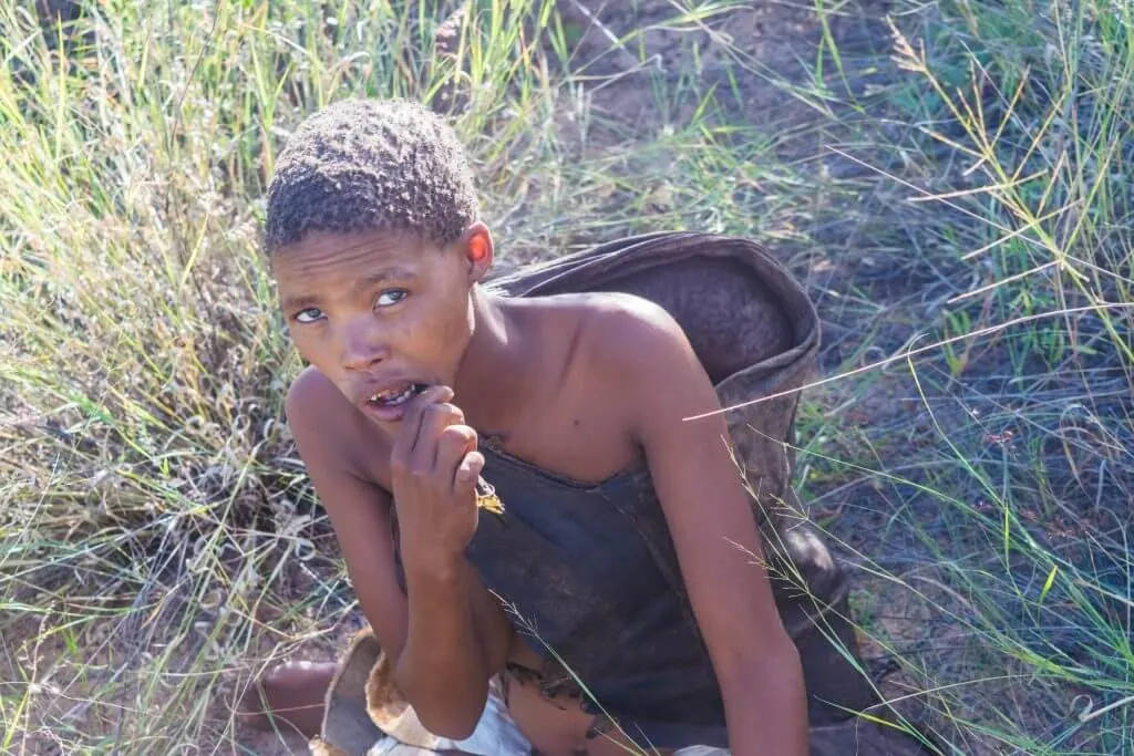 San Bushmen in Botswana walk and dance with the bushmen bushmen roots