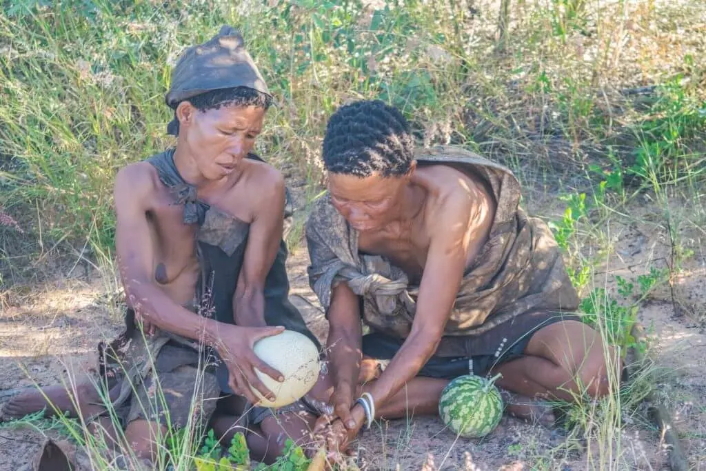 San Bushmen culture and lifestyle finding water