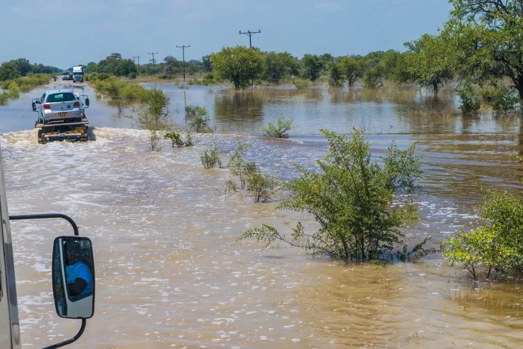 flood elephant sands botswana