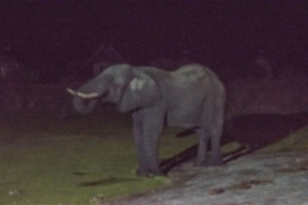 Roadtrip through Botswana elephant sands camp