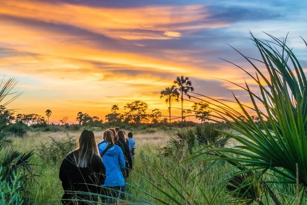 okavango delta safari sunrise