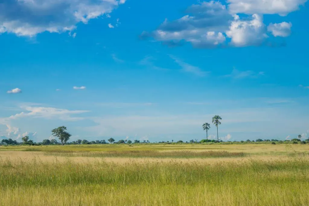 okavango delta