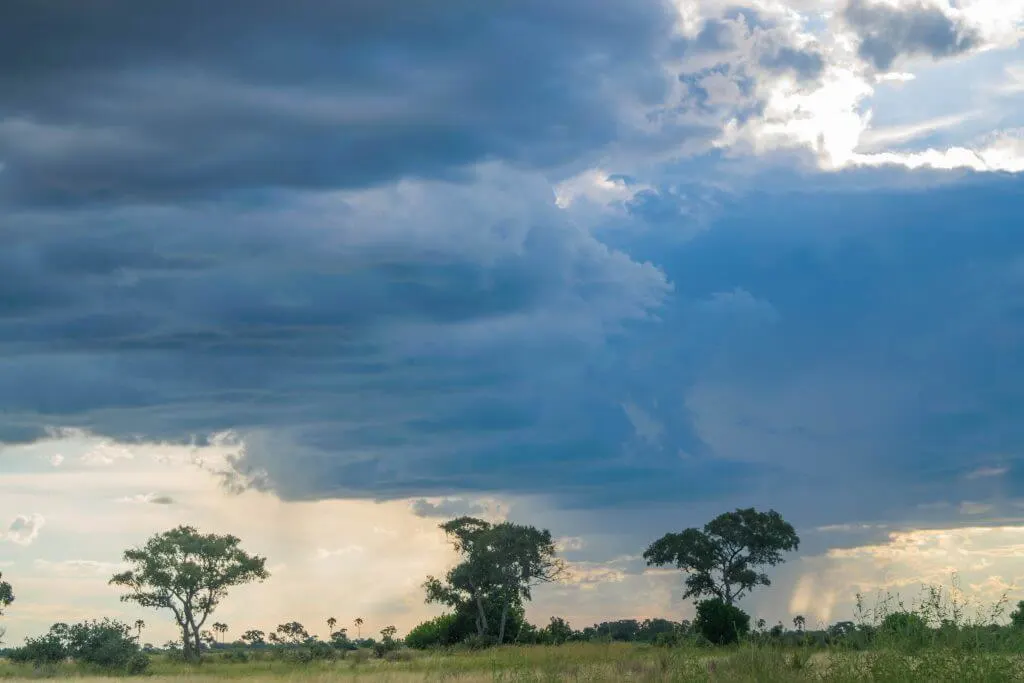okavango delta rain