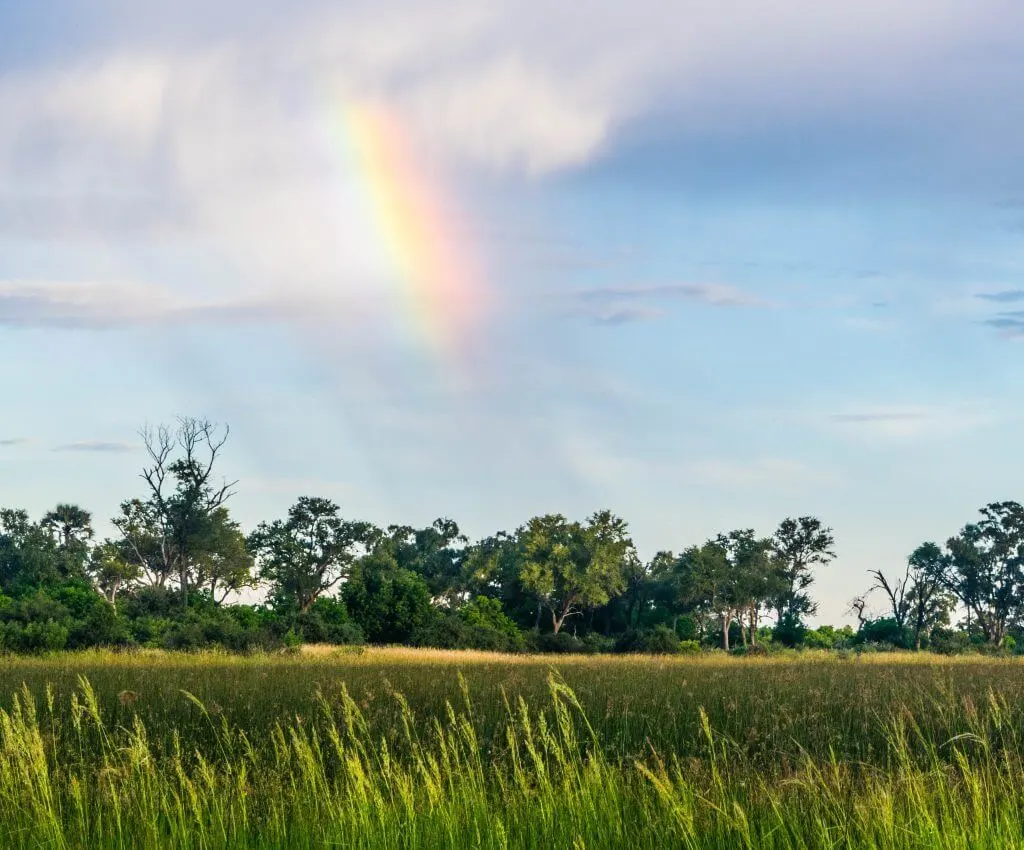 okavango delta rainbow mokoro boat ride