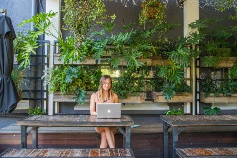 travel blogging in once in cape town hostel travel work